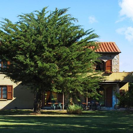Appartamento Uva - Agriturismo Le Selvole Pomarance Eksteriør billede